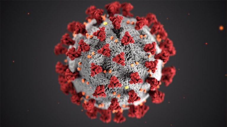 zoom virus coronavirus